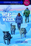Read Pdf Ice Wreck