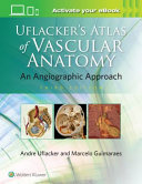 Uflacker S Atlas Of Vascular Anatomy
