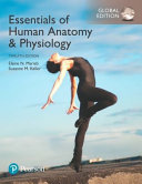 Essentials Of Human Anatomy Physiology Global Edition