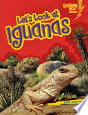 Let S Look At Iguanas