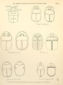 Scarabs and cylinders with names illustrated by the Egyptian collection in University College, London pdf
