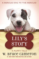Lily's Story Book