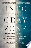 Into The Gray Zone