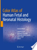 Color Atlas Of Human Fetal And Neonatal Histology