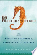 Poseidon S Steed