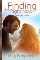 Finding Mr. Right Now Book