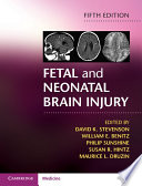 Fetal And Neonatal Brain Injury