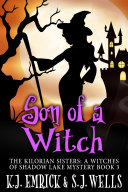 Read Pdf Son of a Witch