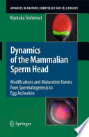 Dynamics Of The Mammalian Sperm Head