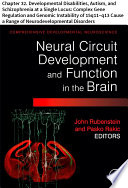 Comprehensive Developmental Neuroscience Neural Circuit Development And Function In The Heathy And Diseased Brain