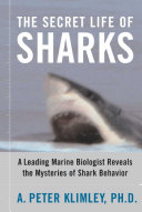 Read Pdf The Secret Life of Sharks
