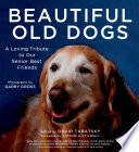 Beautiful Old Dogs