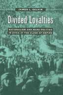 Divided Loyalties pdf