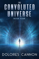 The Convoluted Universe: Book 4 Book