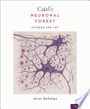 Cajal S Neuronal Forest