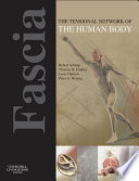 Fascia The Tensional Network Of The Human Body E Book