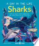 Shark Sciences: A Conversation with Carlee Jackson