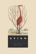 Read Pdf Avian Illuminations