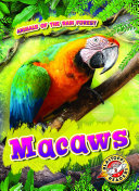 Read Pdf Macaws