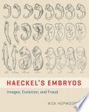 Haeckel S Embryos