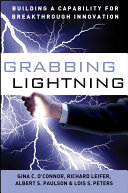 Read Pdf Grabbing Lightning