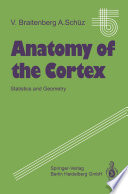 Anatomy Of The Cortex