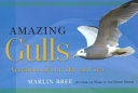 Read Pdf Amazing Gulls