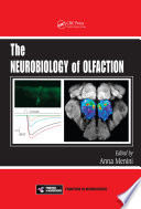 The Neurobiology Of Olfaction