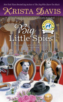Big Little Spies pdf
