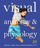 Visual Anatomy Physiology