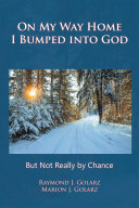 On My Way Home I Bumped into God pdf