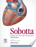 Sobotta Atlas Of Human Anatomy Vol 2 15th Ed English