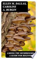 Among The Mushrooms A Guide For Beginners