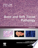 Bone and Soft Tissue Pathology E-Book: A Volume in the Foundations in Diagnostic Pathology Series