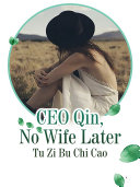 CEO Qin, No Wife Later pdf