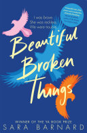 Beautiful Broken Things Book