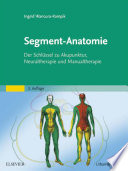 Segment-Anatomie