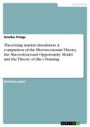 Read Pdf Theorizing marital dissolution. A comparison of the Microeconomic Theory, the Macrostructural Opportunity Model and the Theory of (Re-) Framing