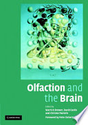 Olfaction And The Brain