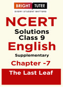 NCERT Solutions for Class 9 English Moments Chapter 7 The Last Leaf