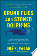 Drunk Flies And Stoned Dolphins
