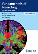 Read Pdf Fundamentals of Neurology