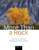 Read Pdf More Than a Rock, 2nd Edition