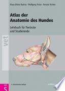 Atlas der Anatomie des Hundes