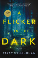A Flicker in the Dark Book