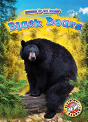 Read Pdf Black Bears