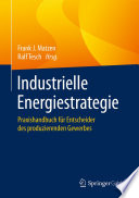 Industrielle Energiestrategie