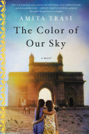 The Color of Our Sky Book