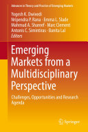 Read Pdf Emerging Markets from a Multidisciplinary Perspective