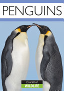 Read Pdf Penguins
